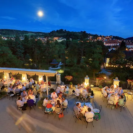 Ruze & Wellness Hotel Cesky Krumlov