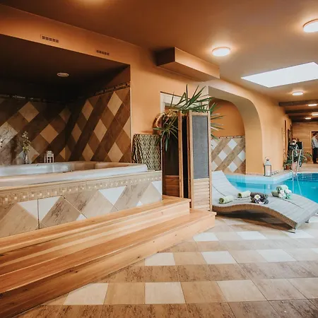 ホテル Ruze & Wellness 4*