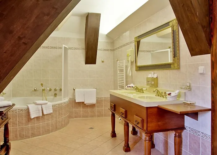 Ξενοδοχείο Ruze & Wellness 5*