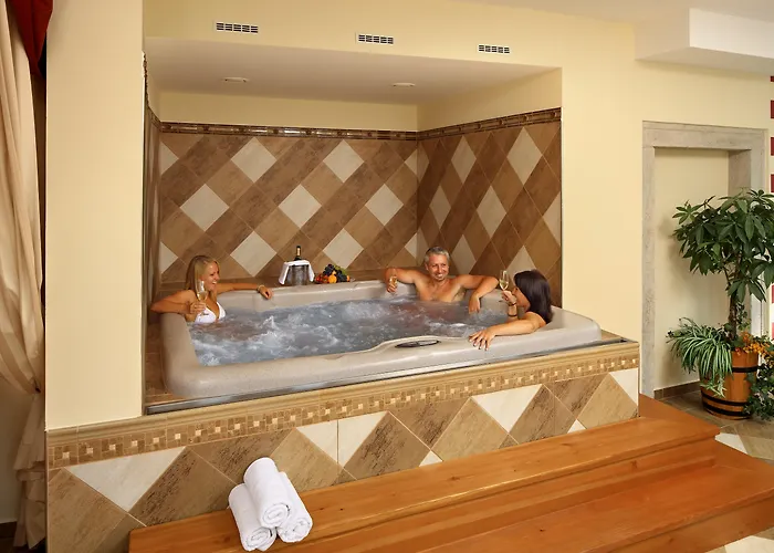 Ξενοδοχείο Ruze & Wellness 5*